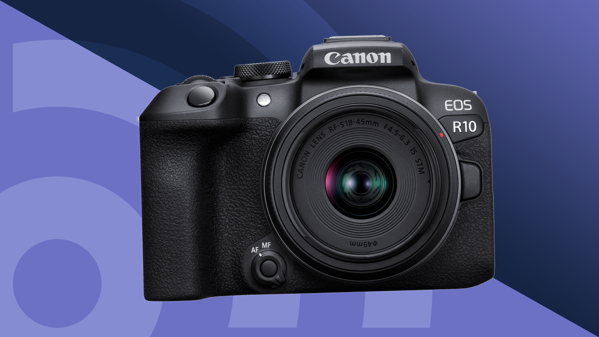 The best camera for beginners 2024: top picks for novices